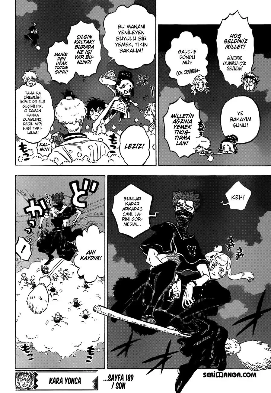 Black Clover - Bölüm 189 - Sayfa 17