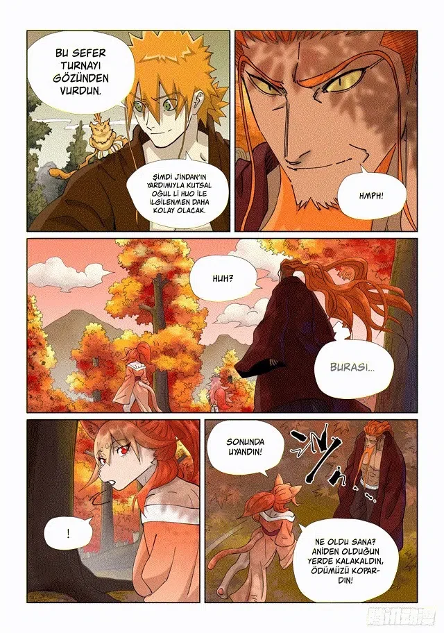 Tales of Demons and Gods - Bölüm 495.5 - Sayfa 5