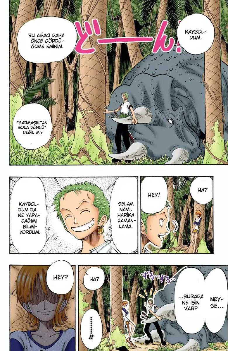One Piece - Bölüm 119 - Sayfa 12