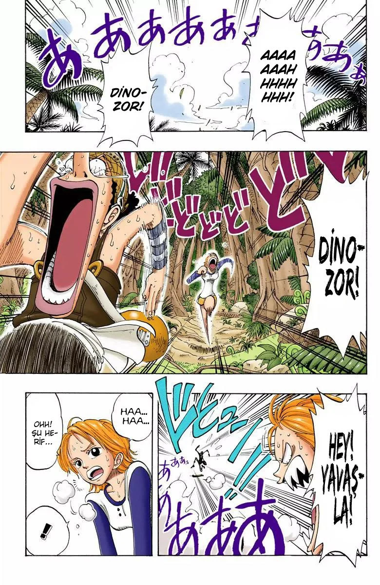 One Piece - Bölüm 119 - Sayfa 13