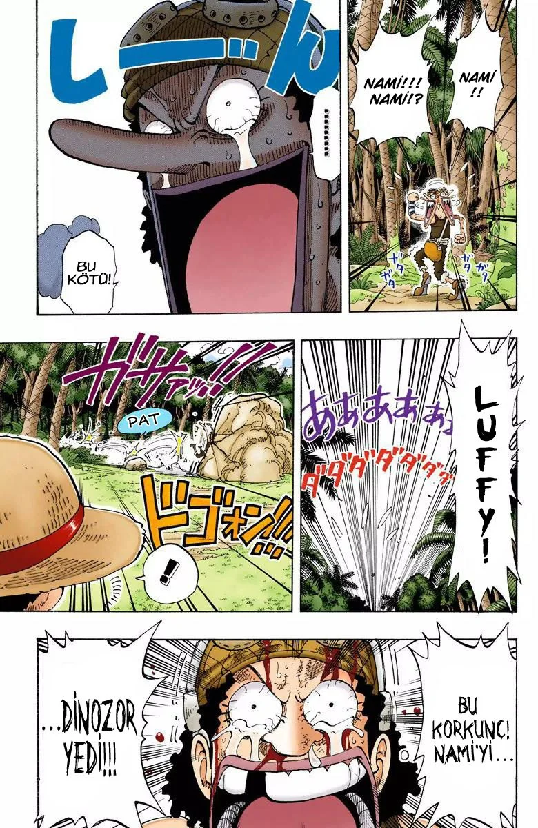 One Piece - Bölüm 119 - Sayfa 15