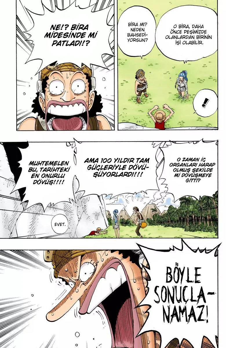 One Piece - Bölüm 119 - Sayfa 17