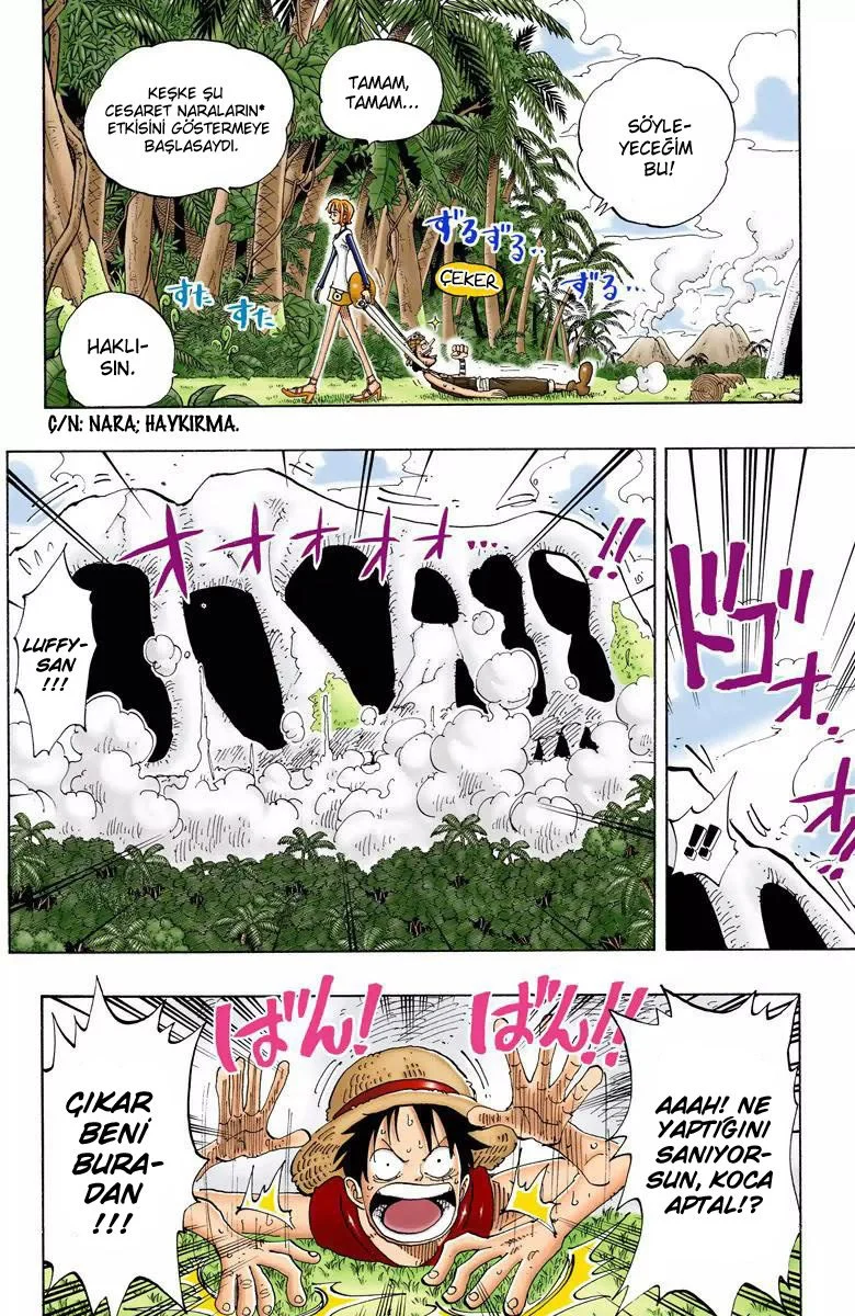 One Piece - Bölüm 119 - Sayfa 4