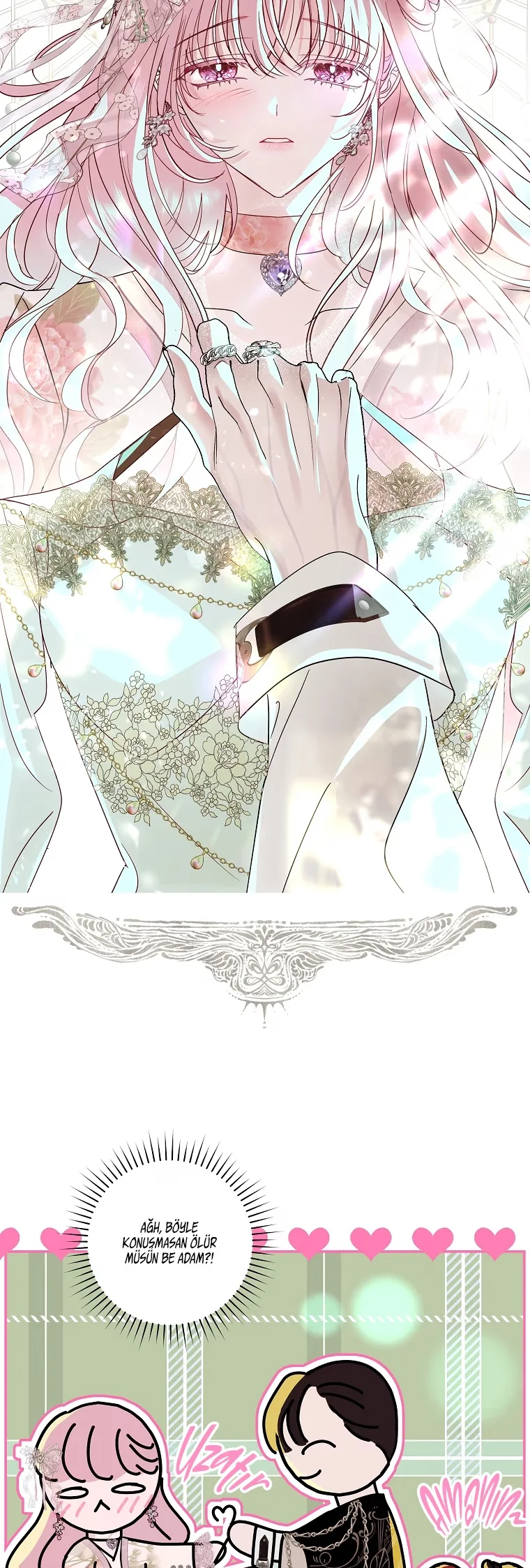 Villain, I'll Do Everything Except Marriage for You! - Bölüm 11 - Sayfa 27