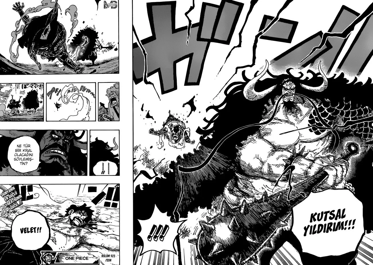 One Piece - Bölüm 923 - Sayfa 13