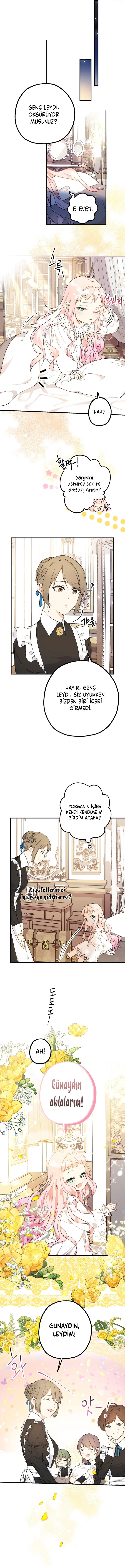 Lord Baby Runs a Romance Fantasy With Cash - Bölüm 5 - Sayfa 12