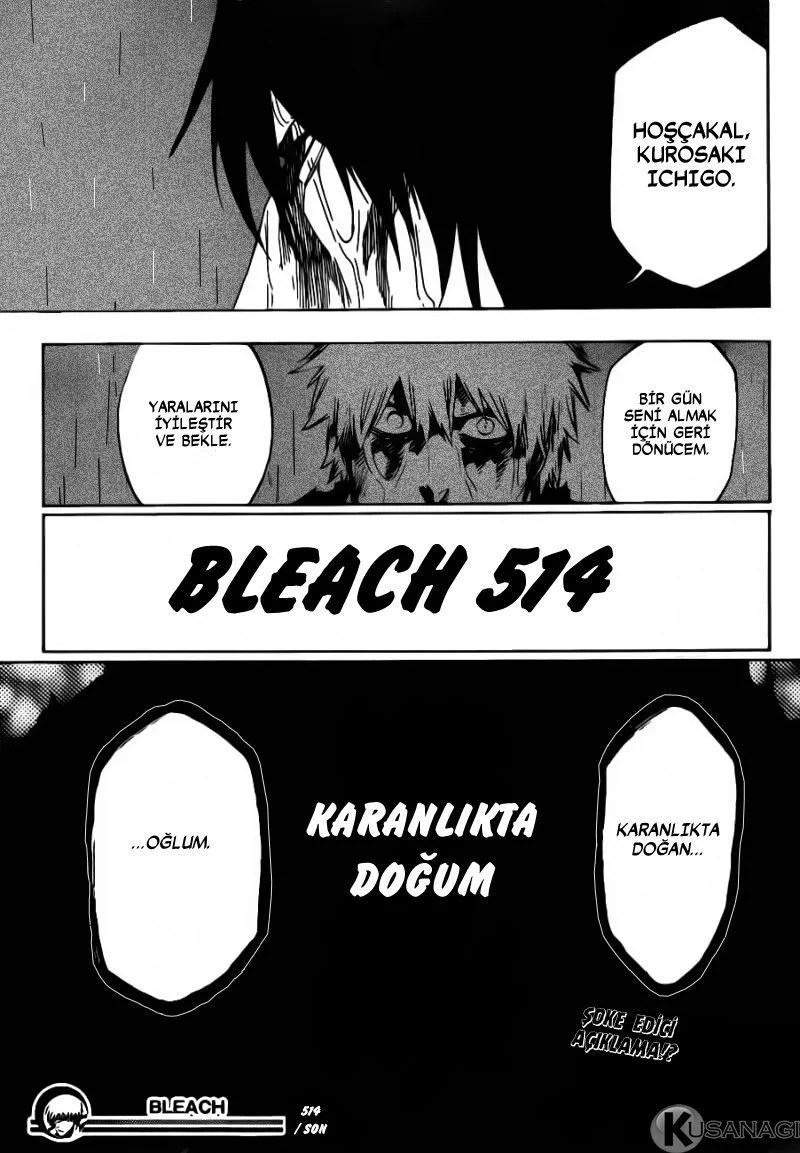 Bleach - Bölüm 514 - Sayfa 17