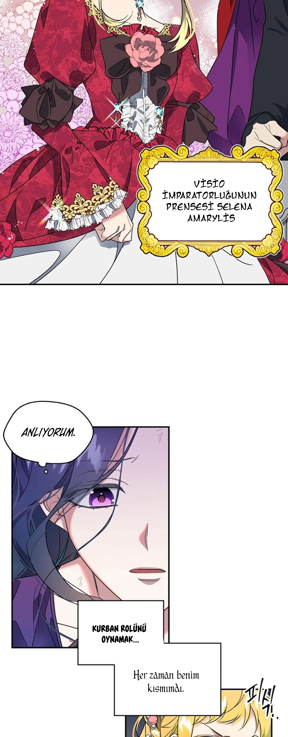 The Sacrificial Princess - Bölüm 1 - Sayfa 12