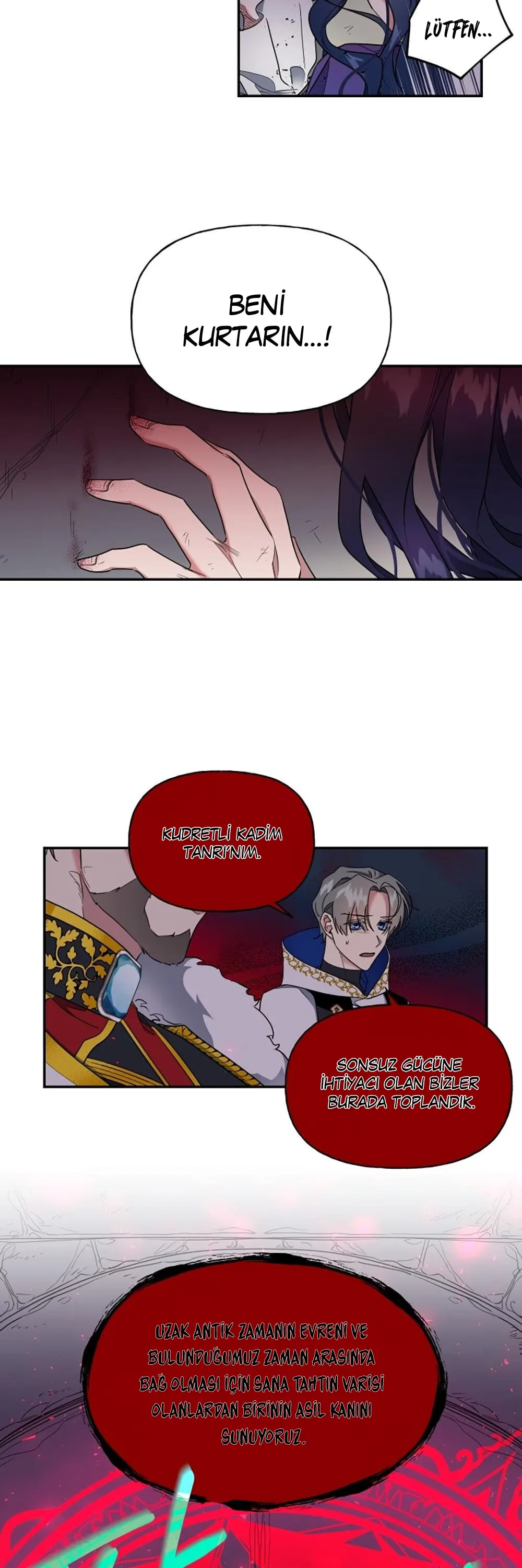 The Sacrificial Princess - Bölüm 1 - Sayfa 23