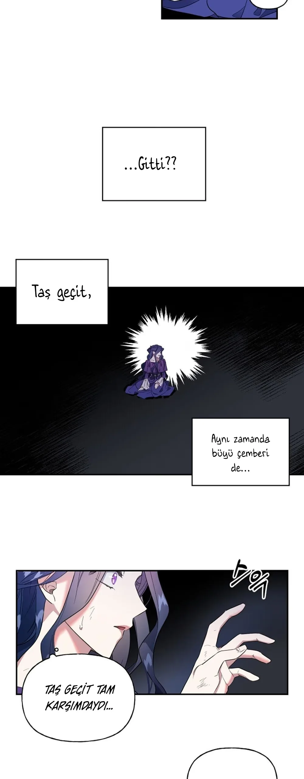 The Sacrificial Princess - Bölüm 1 - Sayfa 28