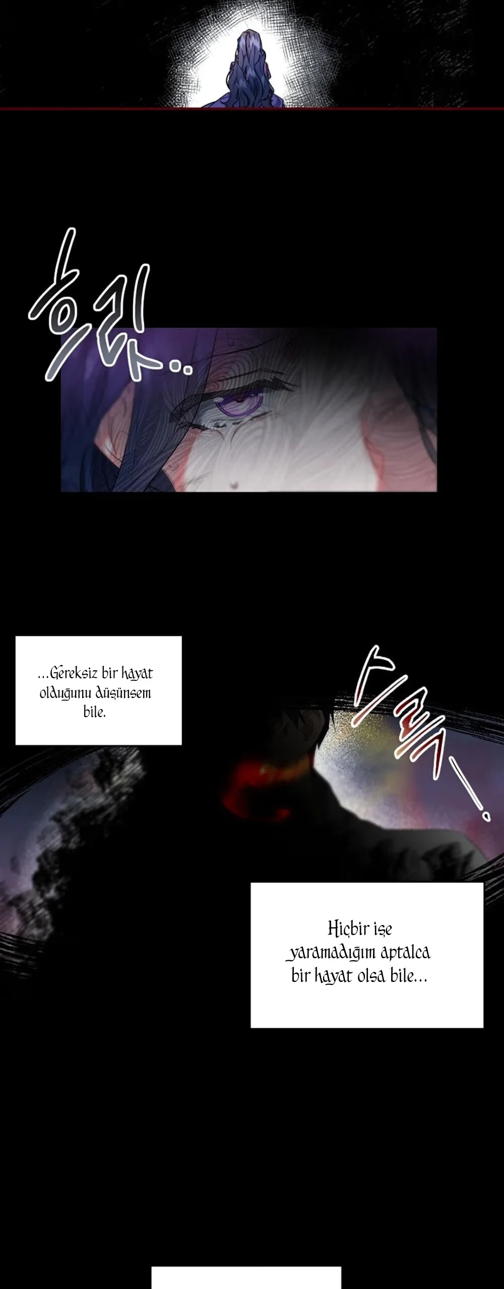The Sacrificial Princess - Bölüm 1 - Sayfa 36