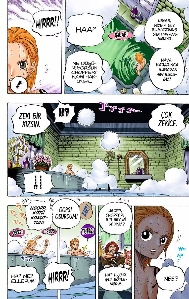 One Piece - Bölüm 446 - Sayfa 13