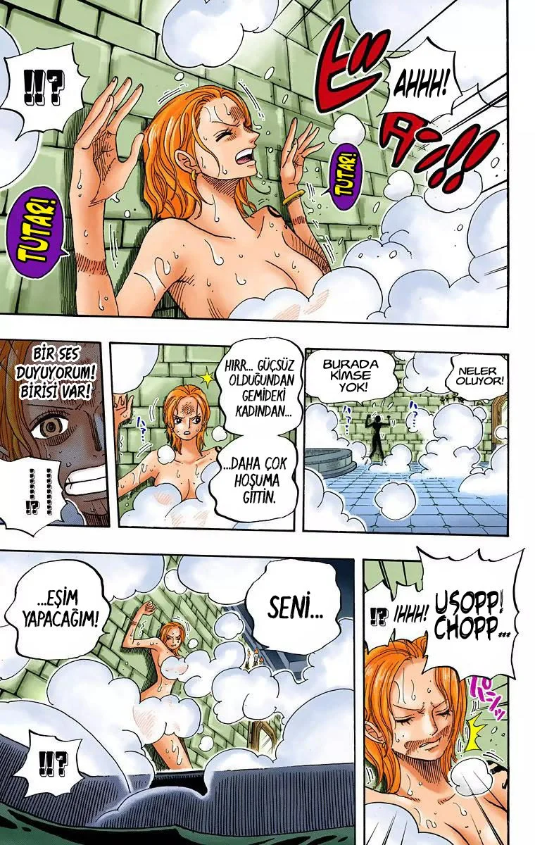 One Piece - Bölüm 446 - Sayfa 14