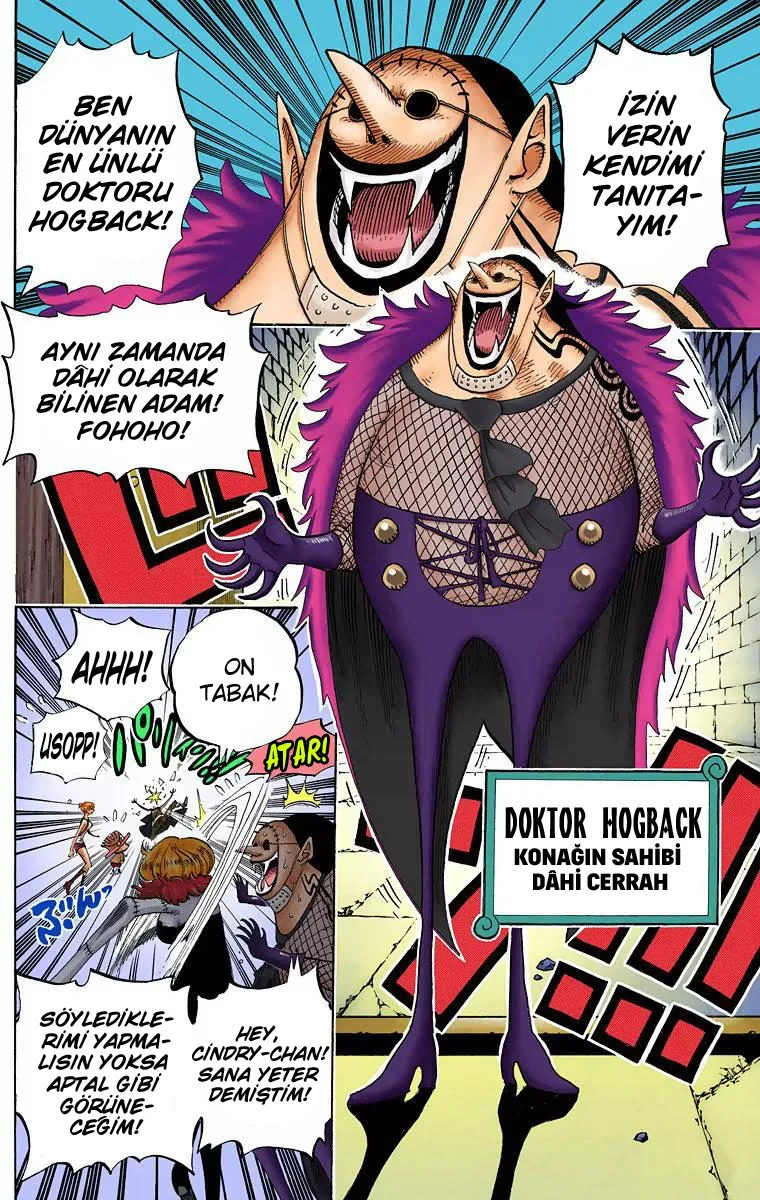 One Piece - Bölüm 446 - Sayfa 5