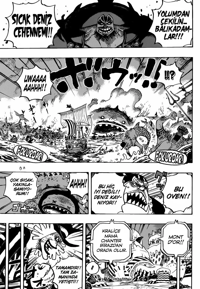 One Piece - Bölüm 900 - Sayfa 11