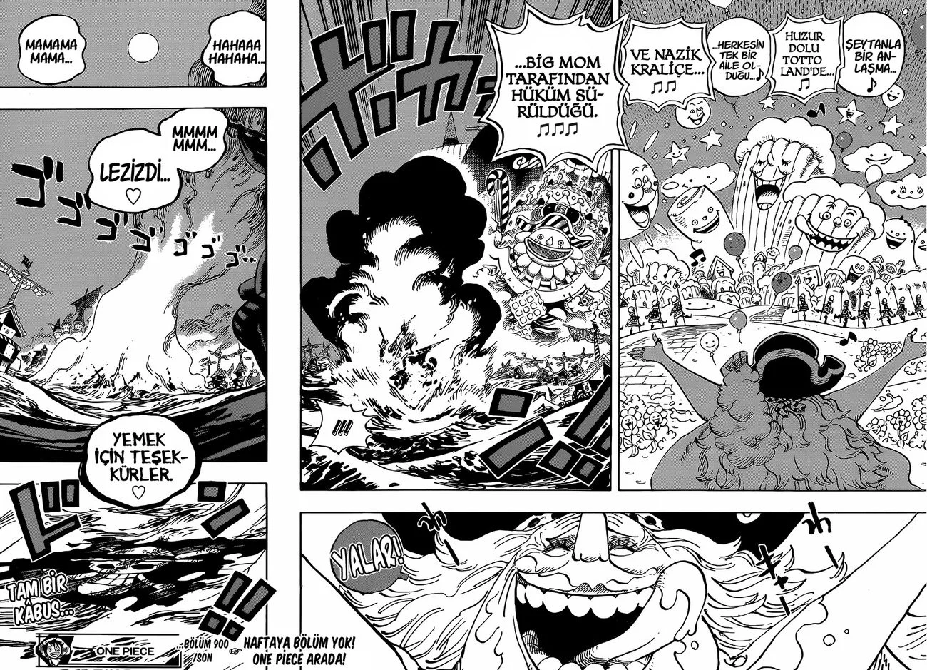 One Piece - Bölüm 900 - Sayfa 17