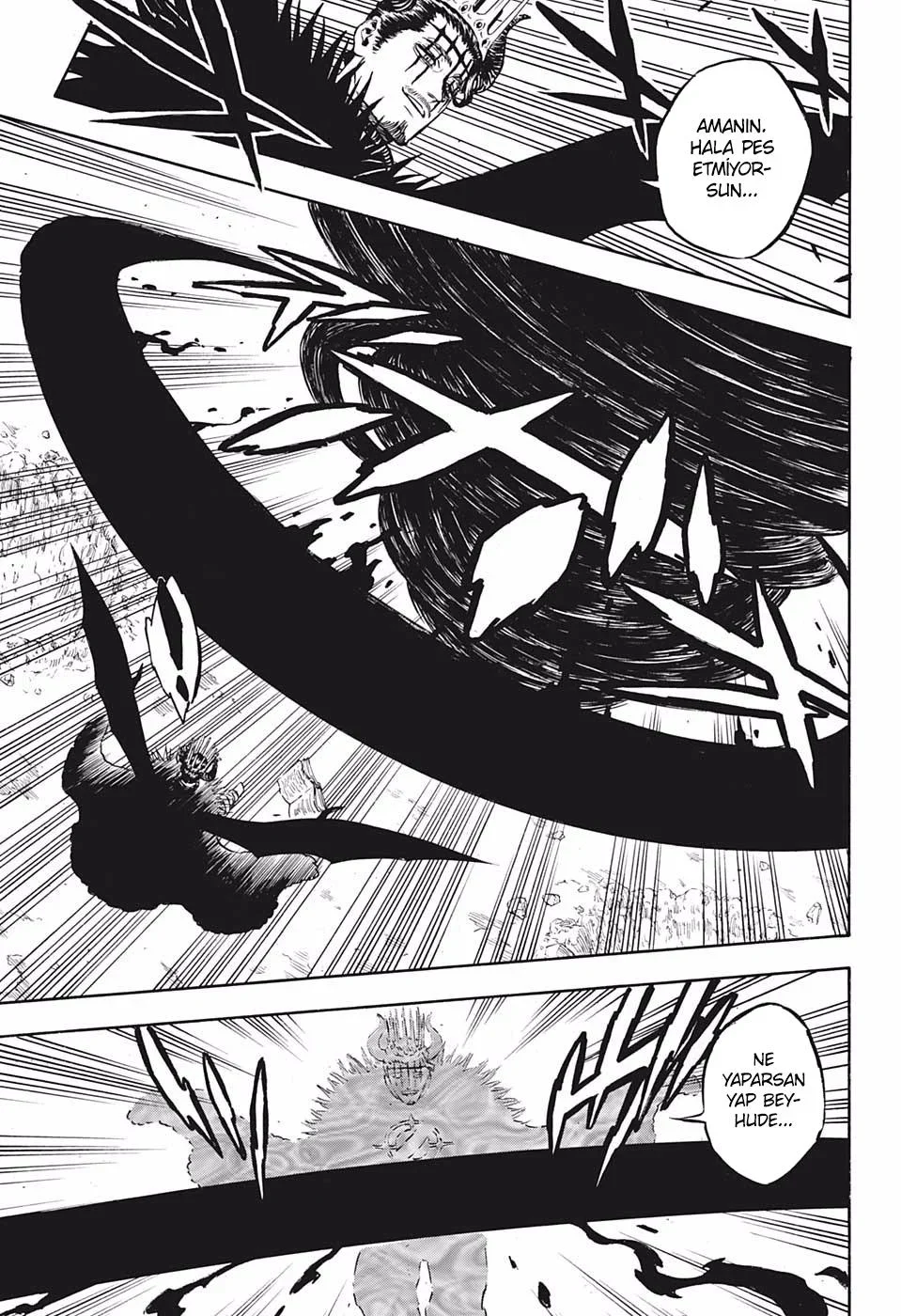Black Clover - Bölüm 243 - Sayfa 13