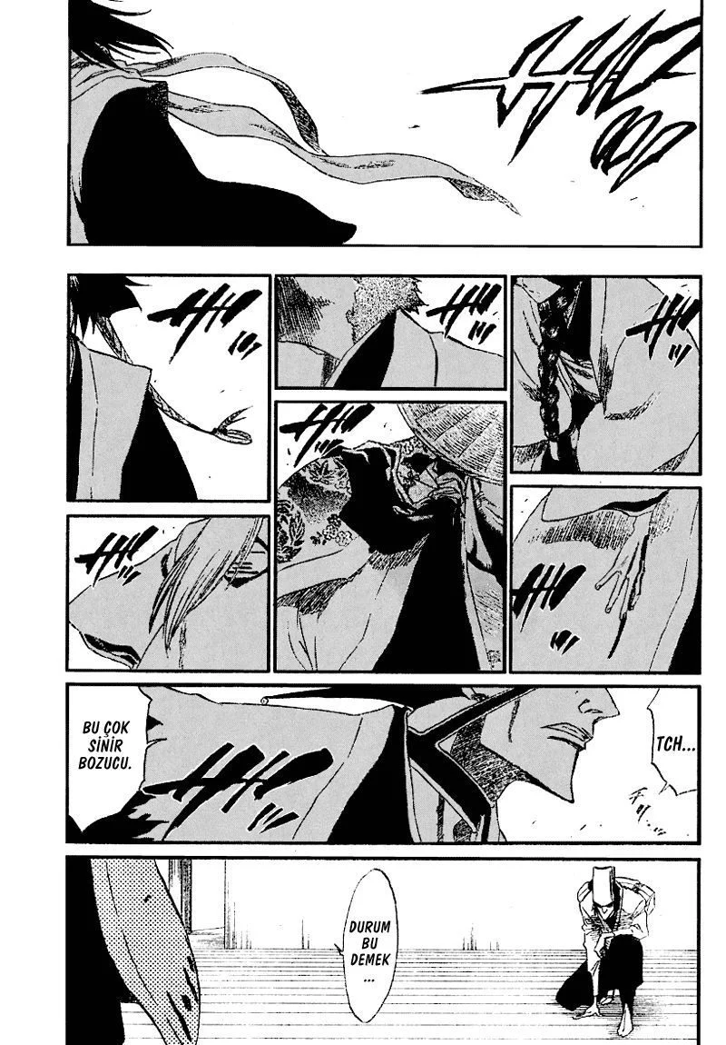 Bleach - Bölüm 188 - Sayfa 17
