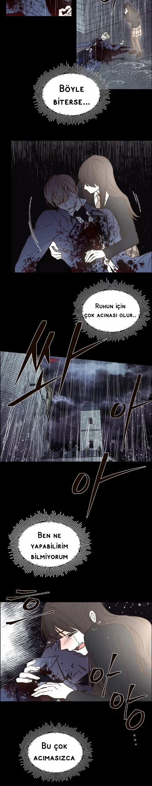 The Villain's Savior - Bölüm 3 - Sayfa 17