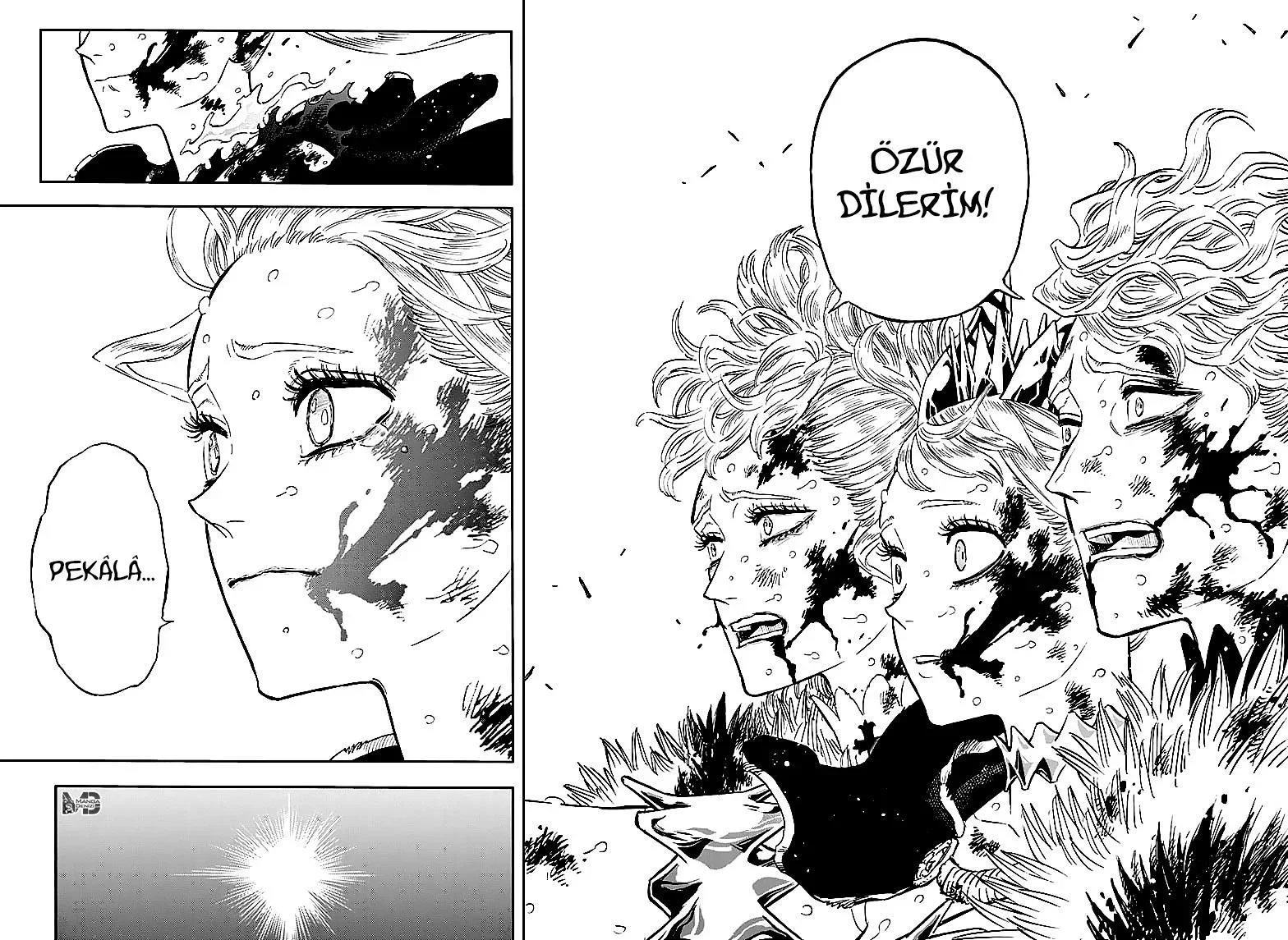 Black Clover - Bölüm 373 - Sayfa 15