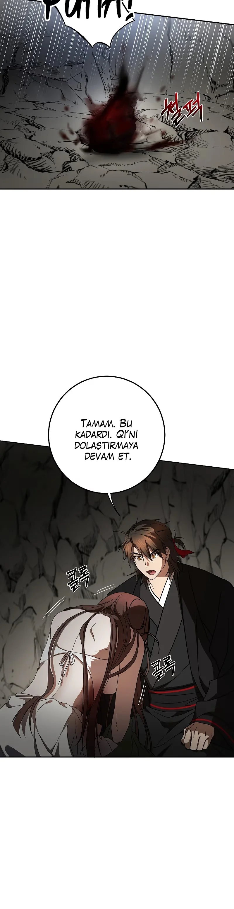 Wandering Warrior of Wudang - Bölüm 111 - Sayfa 13