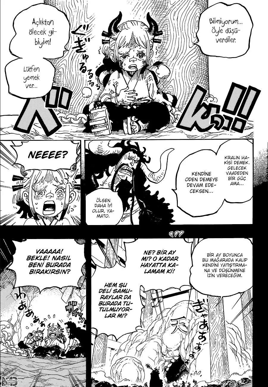 One Piece - Bölüm 1024 - Sayfa 10
