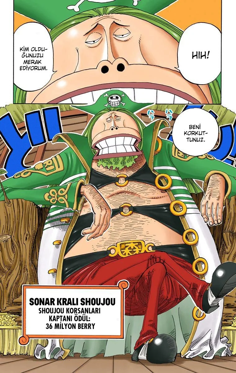 One Piece - Bölüm 226 - Sayfa 11