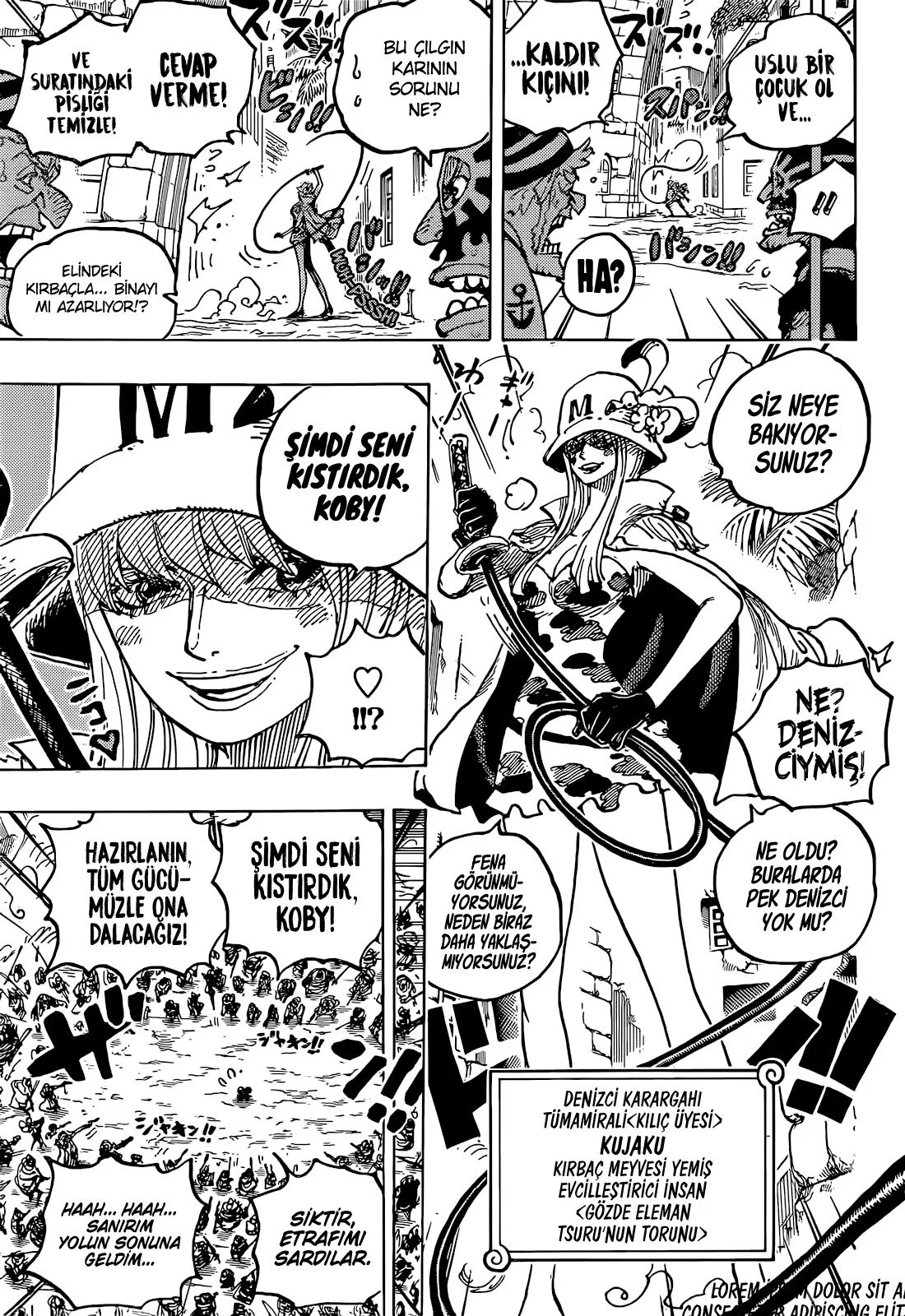 One Piece - Bölüm 1080 - Sayfa 11