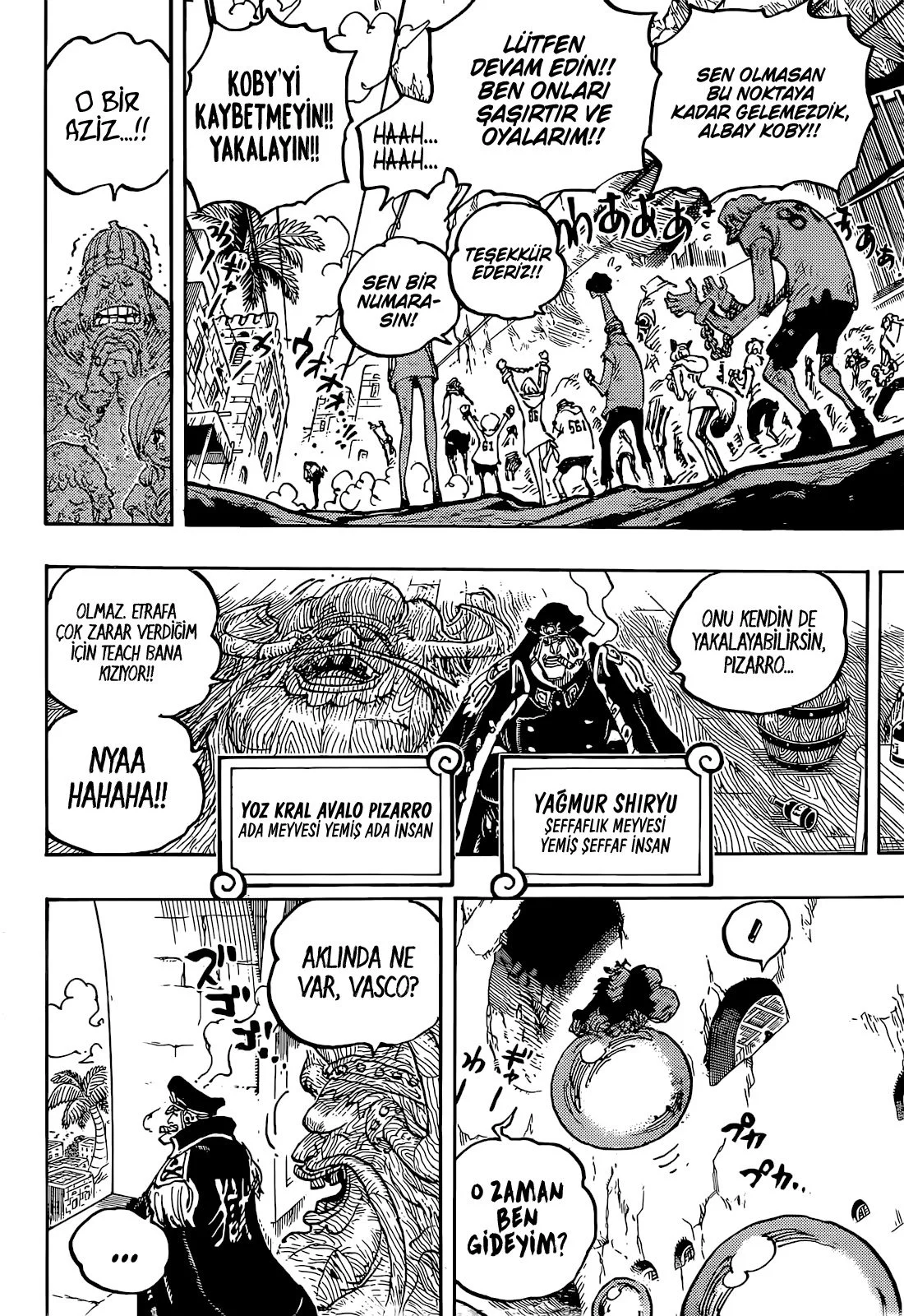 One Piece - Bölüm 1080 - Sayfa 4