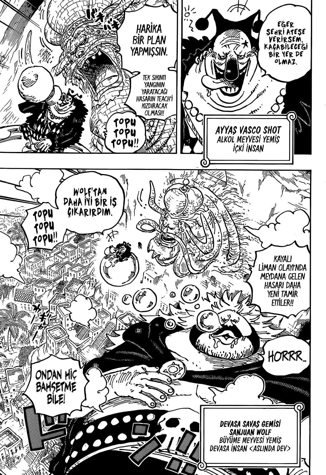 One Piece - Bölüm 1080 - Sayfa 5