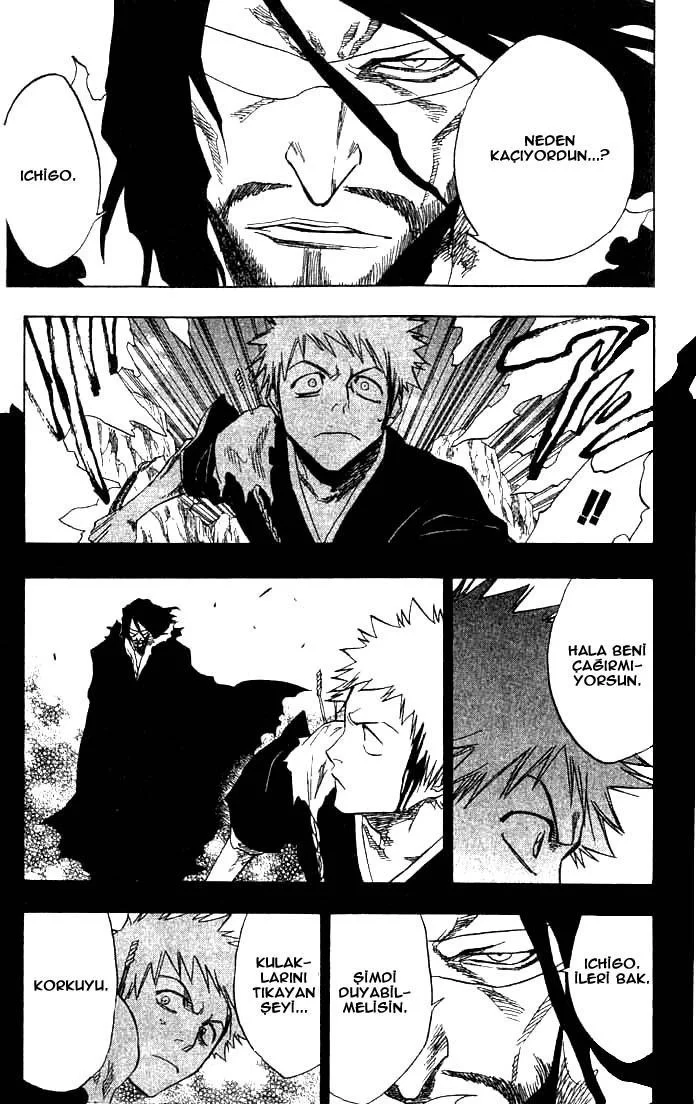 Bleach - Bölüm 66 - Sayfa 17