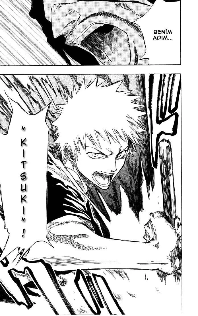Bleach - Bölüm 66 - Sayfa 19