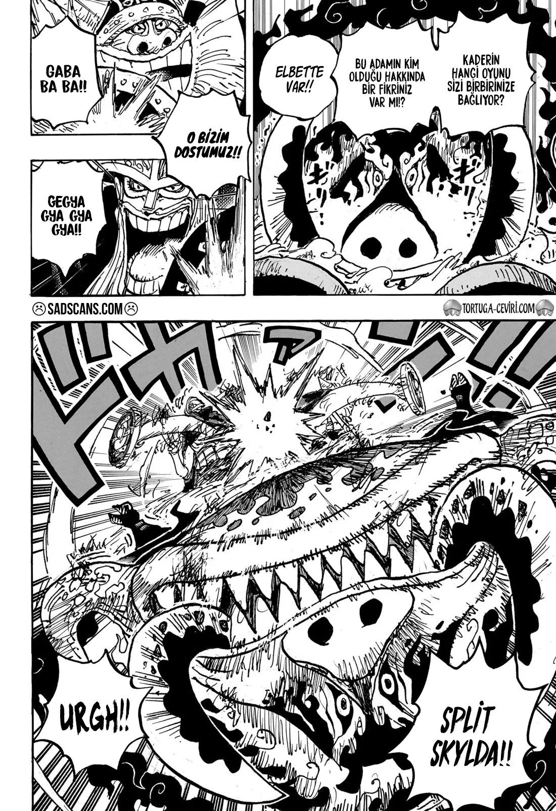 One Piece - Bölüm 1111 - Sayfa 13