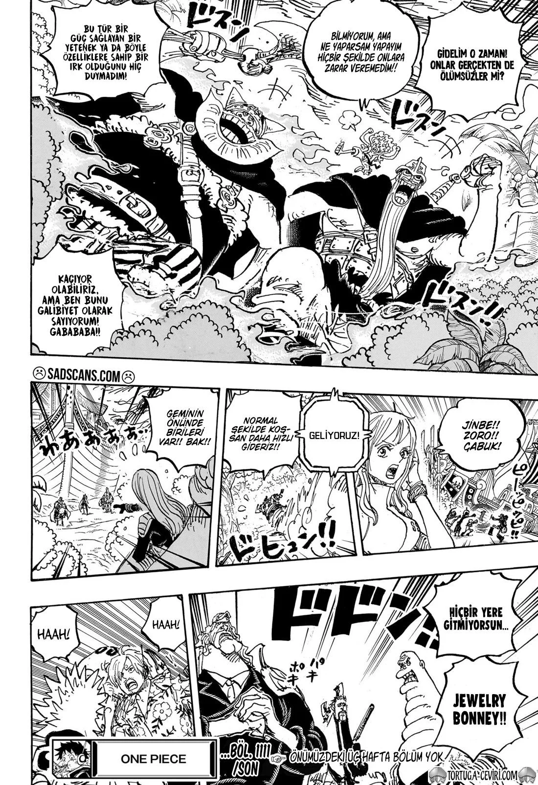 One Piece - Bölüm 1111 - Sayfa 17