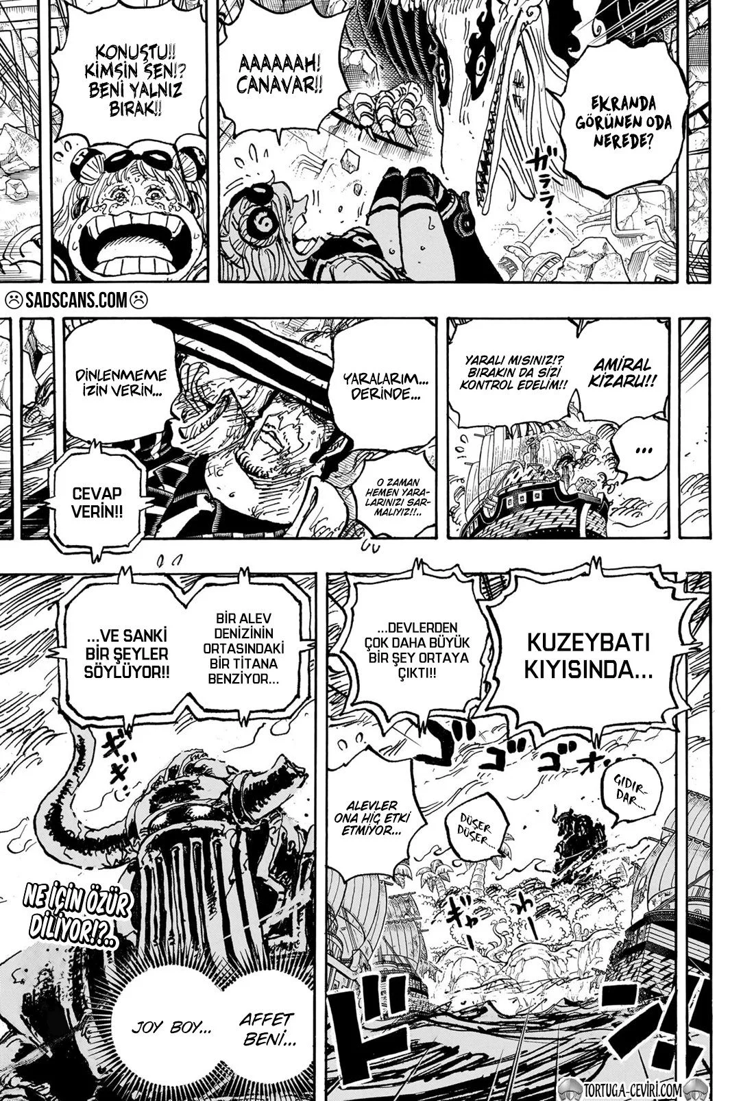 One Piece - Bölüm 1111 - Sayfa 18
