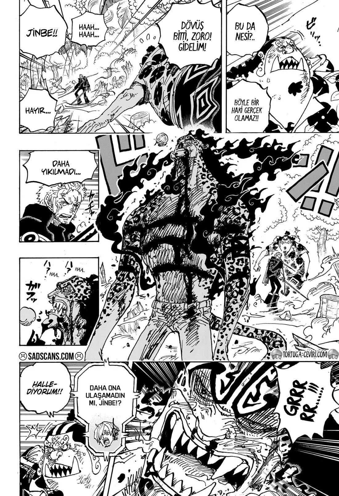 One Piece - Bölüm 1111 - Sayfa 5