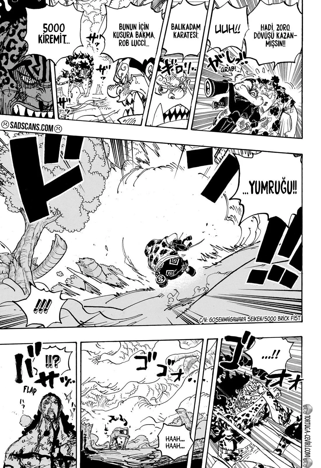 One Piece - Bölüm 1111 - Sayfa 6