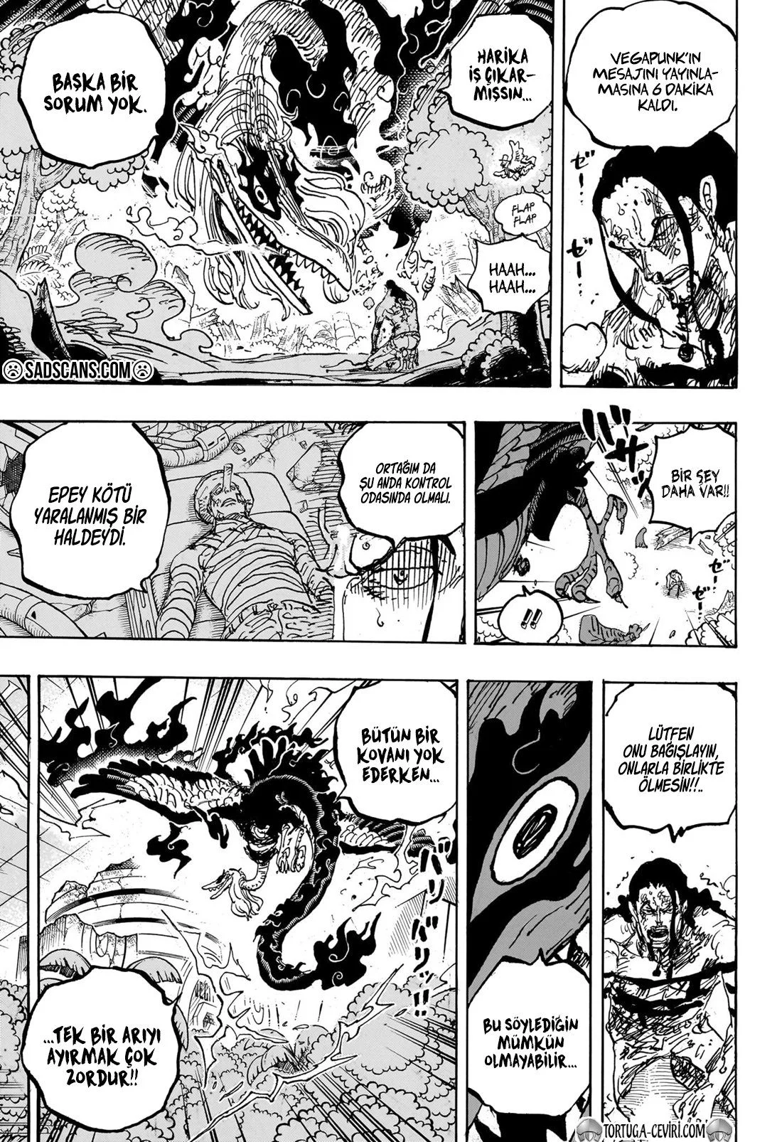 One Piece - Bölüm 1111 - Sayfa 8