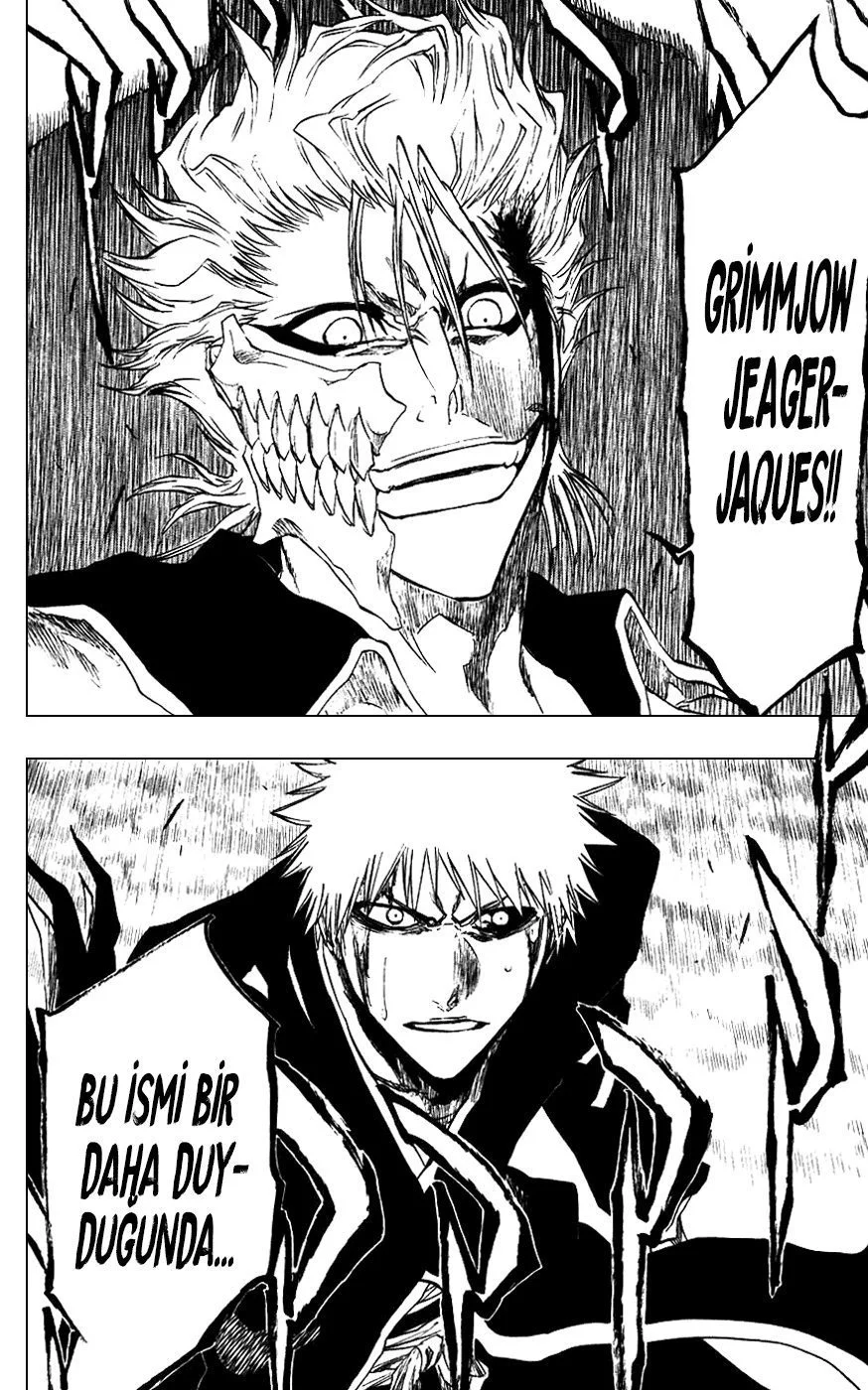 Bleach - Bölüm 212 - Sayfa 14