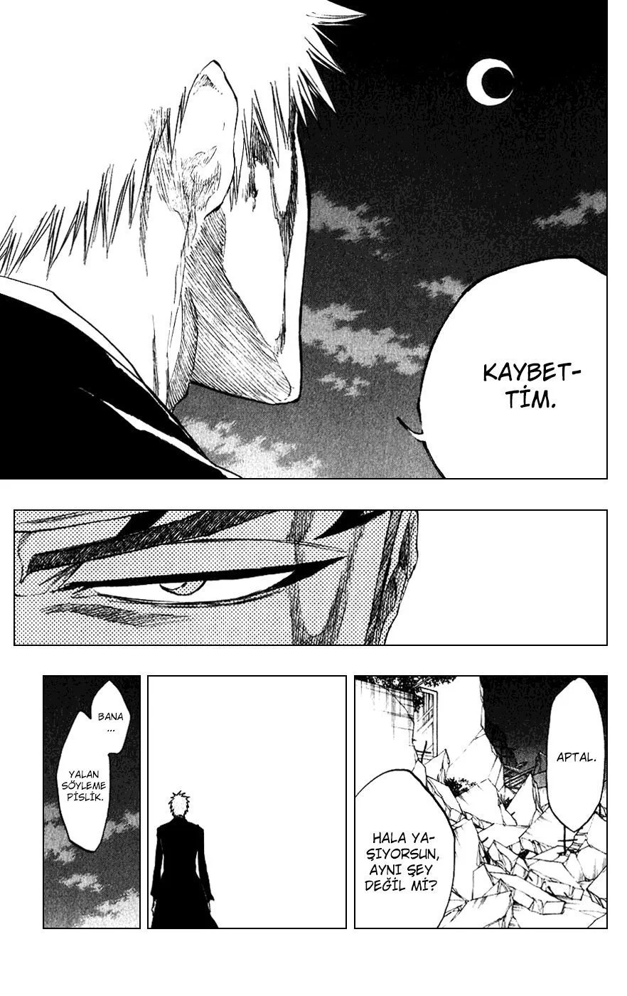 Bleach - Bölüm 212 - Sayfa 17