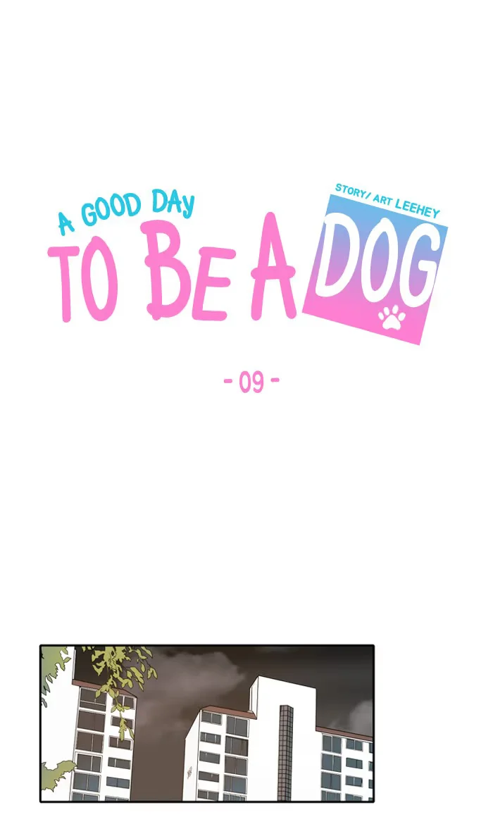 A Good Day to Be a Dog - Bölüm 9 - Sayfa 15