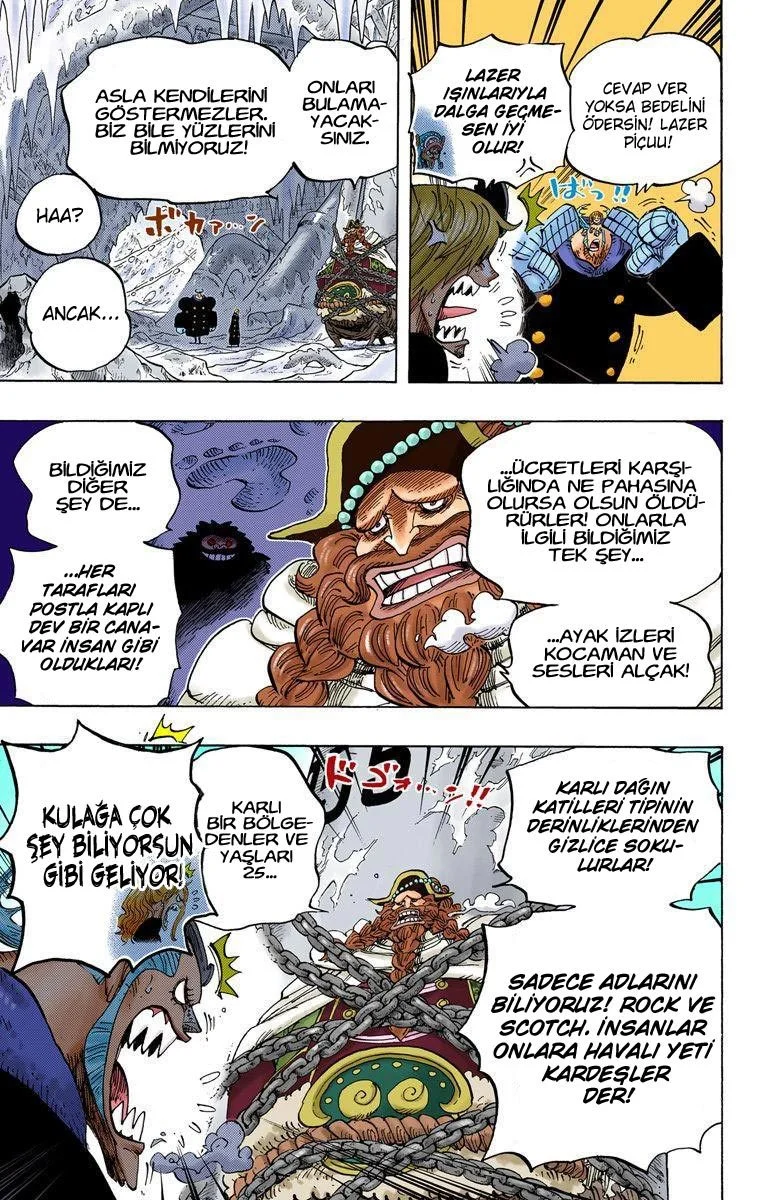 One Piece - Bölüm 666 - Sayfa 11