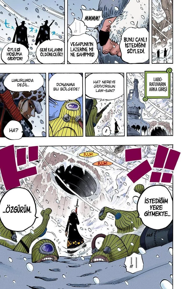 One Piece - Bölüm 666 - Sayfa 17