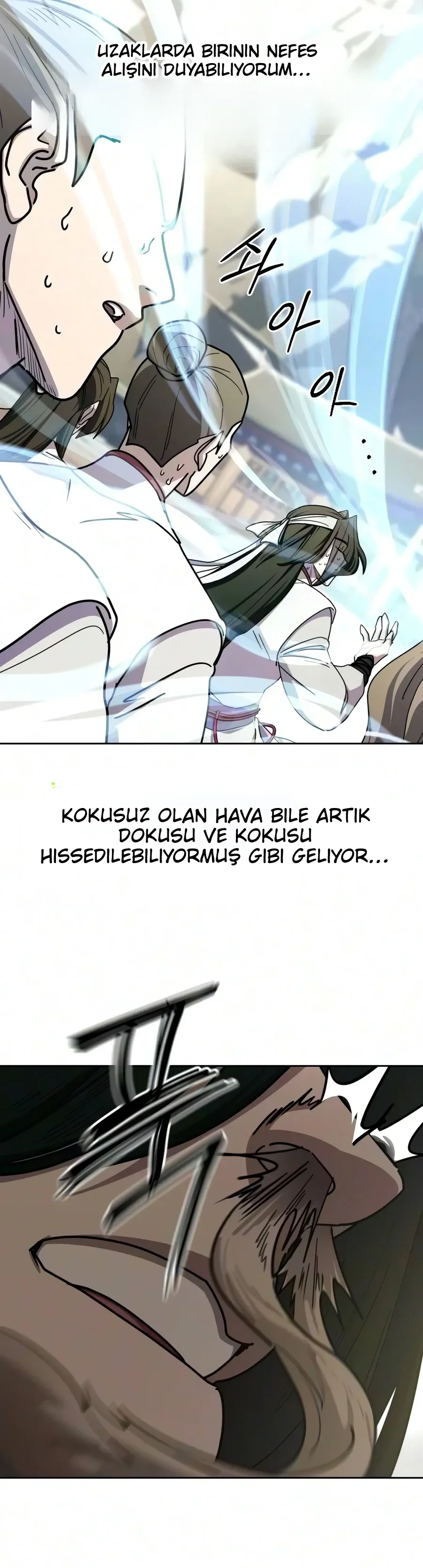 Return of the Mount Hua Sect - Bölüm 177 - Sayfa 21