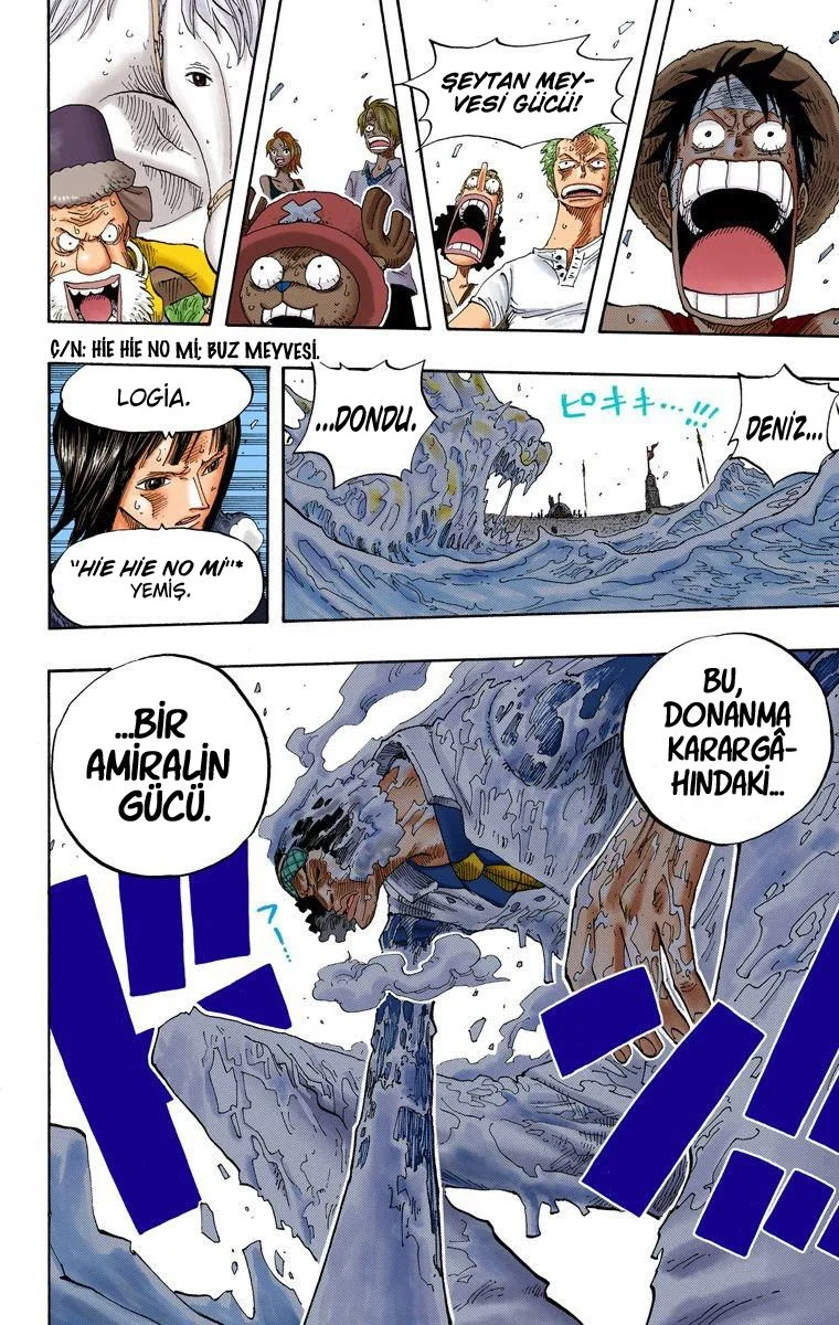 One Piece - Bölüm 319 - Sayfa 13