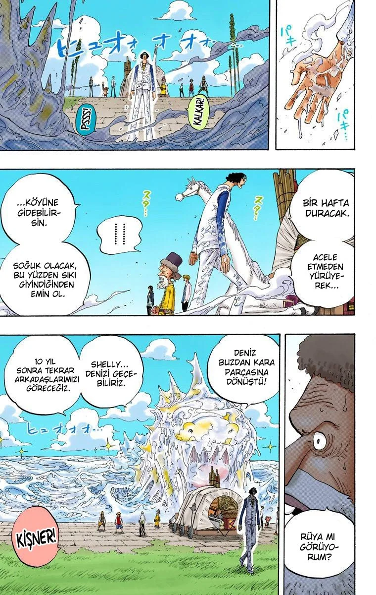 One Piece - Bölüm 319 - Sayfa 14