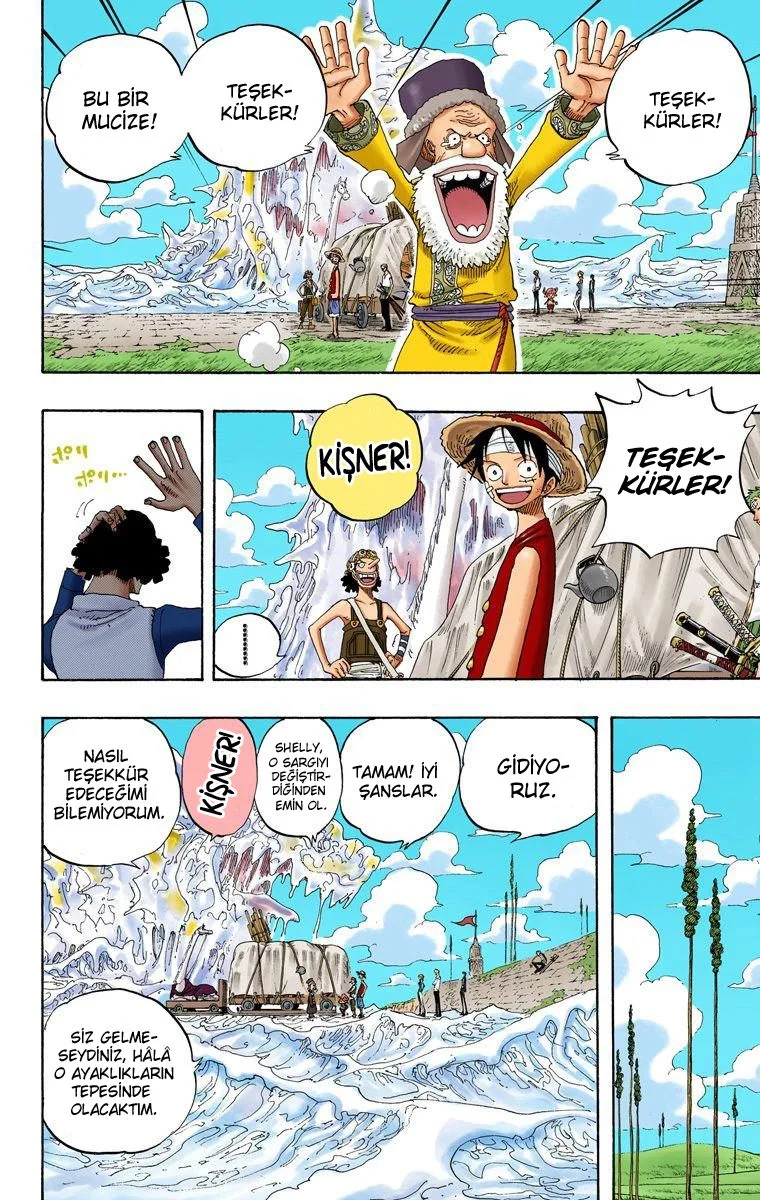 One Piece - Bölüm 319 - Sayfa 15