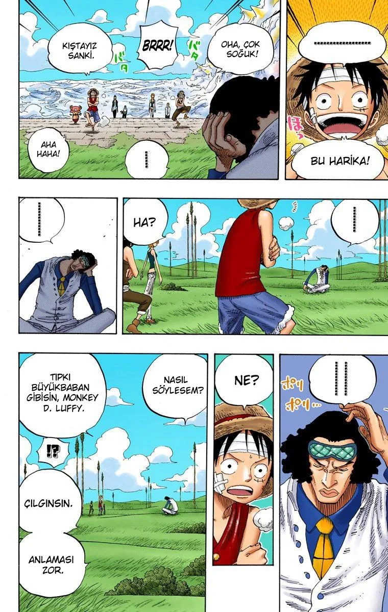 One Piece - Bölüm 319 - Sayfa 17