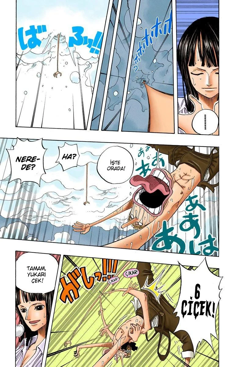 One Piece - Bölüm 237 - Sayfa 10