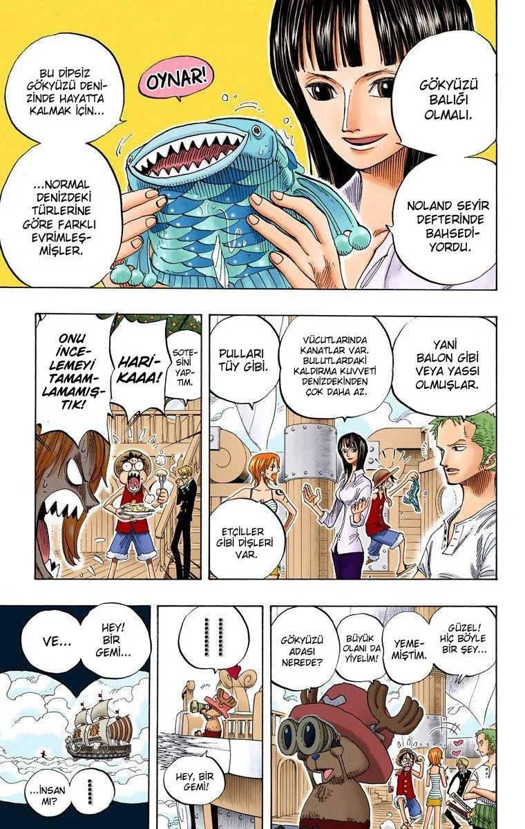 One Piece - Bölüm 237 - Sayfa 14